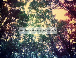forest, lyrics, music, quotes, smile, the beatles