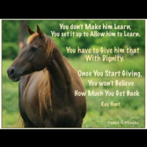 Via Stephanie S