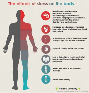 Surviving Stressmas: How to avoid stress and its effects on the body ...