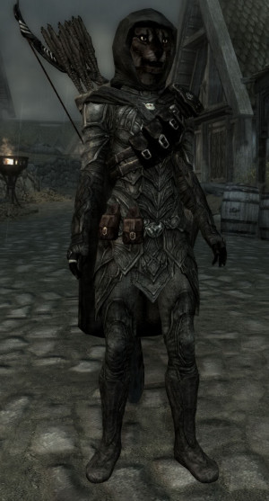 Good Suggestion For Skyrim