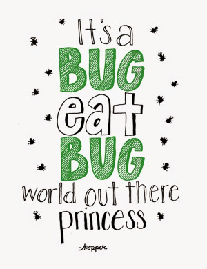 It's a Bug Eat Bug World