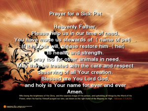 Dog Prayers For Sick Dogs http://www.prayersbyemail.com/sick_prayers ...