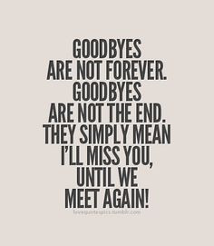 Goodbye Friend, Until We Meet Again