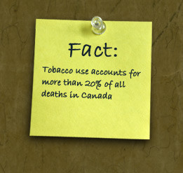 Tobacco Quotes