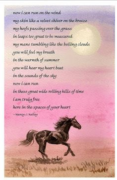 ... more hors poems sympathy horses quotes hors sympathy cards hors