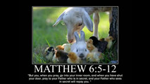 Animal Themed Motivational Posters of Bible Scripture - Inspirational ...