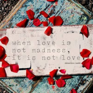 when love is not madness
