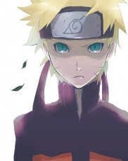 ... , this is what I've learned from meeting and fighting Uzumaki Naruto