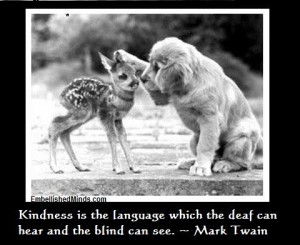 humble quotes | mark twain quotes Pictures, Images and PhotosBaby Deer ...