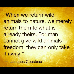 Quote, Jacques Cousteau, animals, freedom
