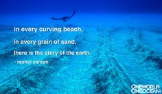 Every hero has a hero. Sylvia Earle's? You guessed it -- Rachel Carson ...