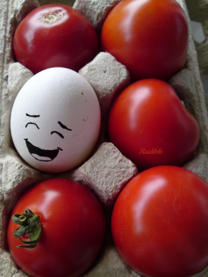 Funny Eggs Quotes - Funny Quotes about Eggs and funny one liners by ...