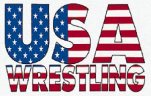 usa wrestling Image