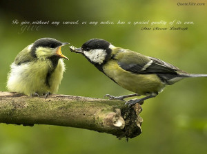 To Give Without Any Reward – MORE INFO