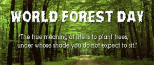 Home > Quotes > World Forest Day > World Forest Day Quotes