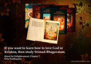 Quest for Enlightenment Quotes