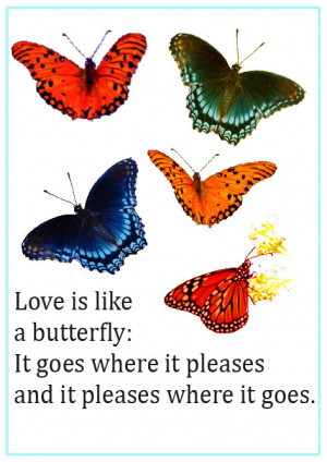 Image of butterfly quotes love