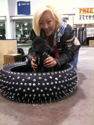 Thread: Ice studs for dirt bike tires