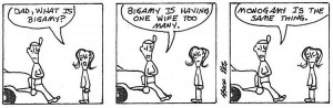 What is the difference between Bigamy and Polygamy?