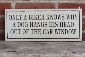 Only a Biker knows why a Dog hangs his head out of the Car Window