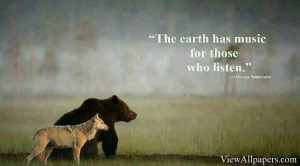 ... Animal Planet Bear Quotes For PC computers, desktop background