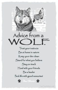 Advice From a Wolf ~:By Ilan Shamir ☆ More