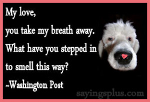 Funny Valentines Day Quotes and Sayings