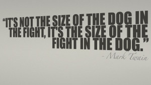 Startups – The how and why to fighting and winning against stronger ...