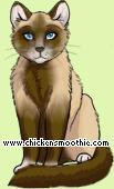 Warrior Cats name f r chickensmoothie Katze