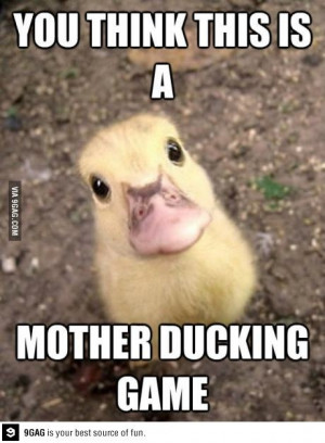 First+Thing+I+Thought+When+I+Saw+This+Baby+Duck