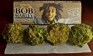 Bob Marley Smoking Weed Tagged with bob marley,