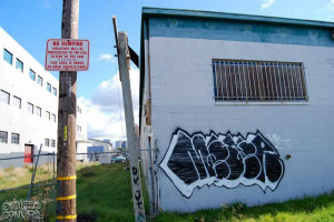 bomb-endless-canvas-bay-area-graffiti-and-street-art-4742.jpg