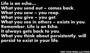 Life is an echo...