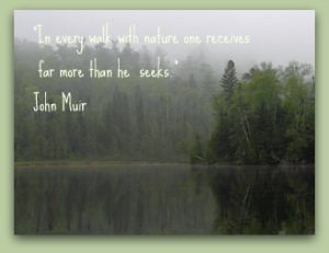John Muir ~ nature