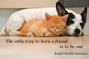 The only way to have a friend is to be one.