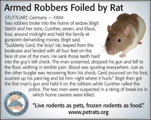 http://www.petrats.org/images/rats3.jpg :thumbup: