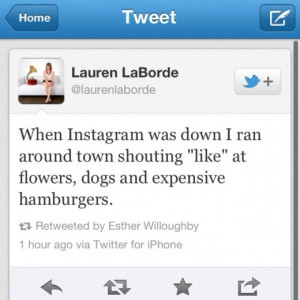 Funny quotes to put on instagram bio