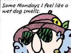 Maxine Monday!