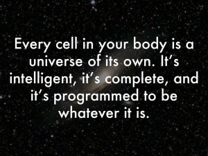 ... the fifth agreement by don miguel ruiz quotes photo by ecstaticist