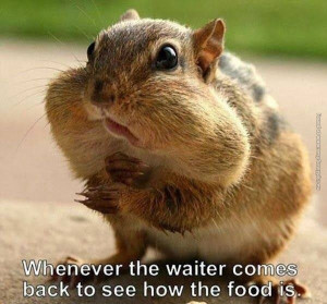 Go Back > Gallery For > Funny Waiter Quotes