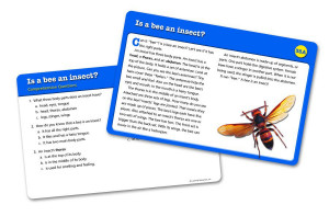Reading Comprehension Cards - Grade 2+