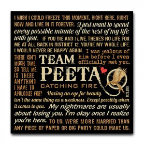 Peeta Mellark Catching Fire