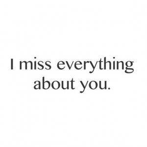 miss everything about you