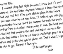allie, noah, quote, the notebook, writing