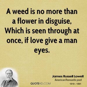 weed is no more than a flower in disguise, Which is seen through at ...