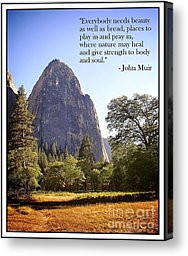 John Muir Quotes Canvas Prints - Natures Cathedral Canvas Print by ...