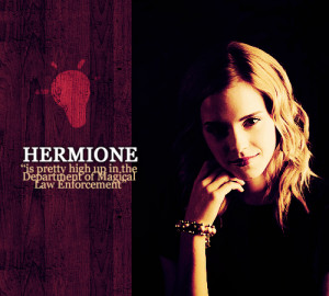 Hey, its Hermione Granger. I am currently working to help house elves ...