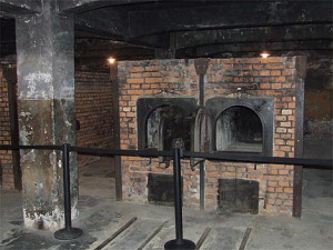 holocaust gas chambers footage