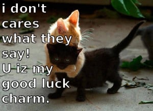 ... -say-u-iz-my-good-luck-charm-instadebit-casino-cat-meme-black-cat.jpg