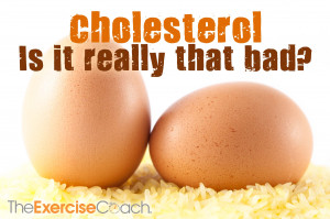 High Cholesterol vs. Low Cholesterol
